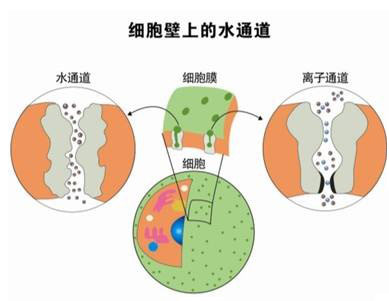 中国·9888拉斯维加斯(股份)有限公司-官方网站