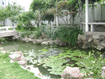 拉斯维加斯9888水源