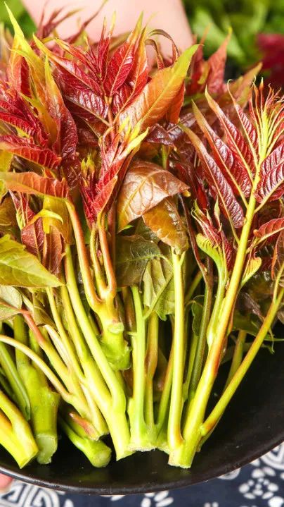 中国·9888拉斯维加斯(股份)有限公司-官方网站